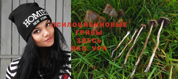 сатива Заволжск