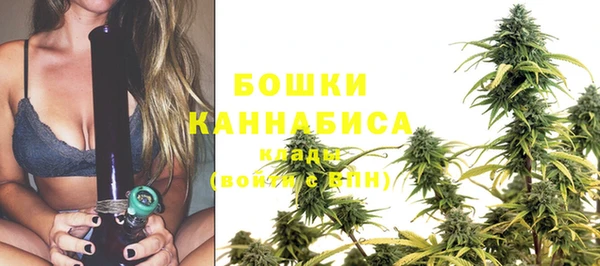 сатива Заволжск