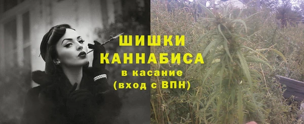 сатива Заволжск