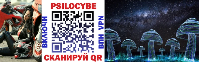 блэк спрут как зайти  Дербент  Галлюциногенные грибы Cubensis 